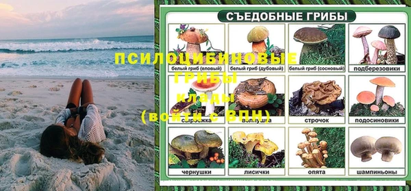 тгк Беломорск