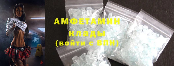хмурый Белокуриха
