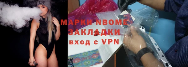 хмурый Белокуриха