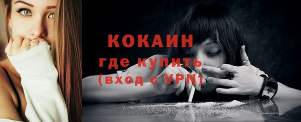 хмурый Белокуриха