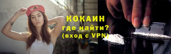 хмурый Белокуриха