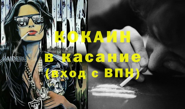 хмурый Белокуриха