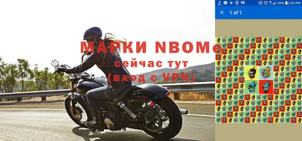 хмурый Белокуриха