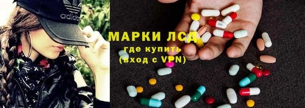 хмурый Белокуриха