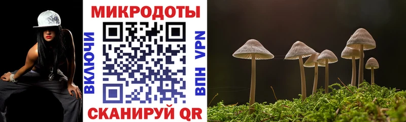 цена   Миасс  Галлюциногенные грибы прущие грибы 